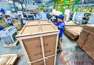 本土企业发力,双十一仓储服务迎来新变革